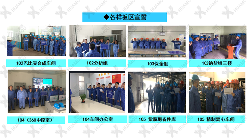 0200160500-三天一層樓輔導(dǎo)總結(jié)報告（化學藥品原料藥制造）_13