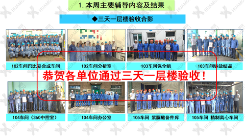 0200160500-三天一層樓輔導(dǎo)總結(jié)報告（化學藥品原料藥制造）_17